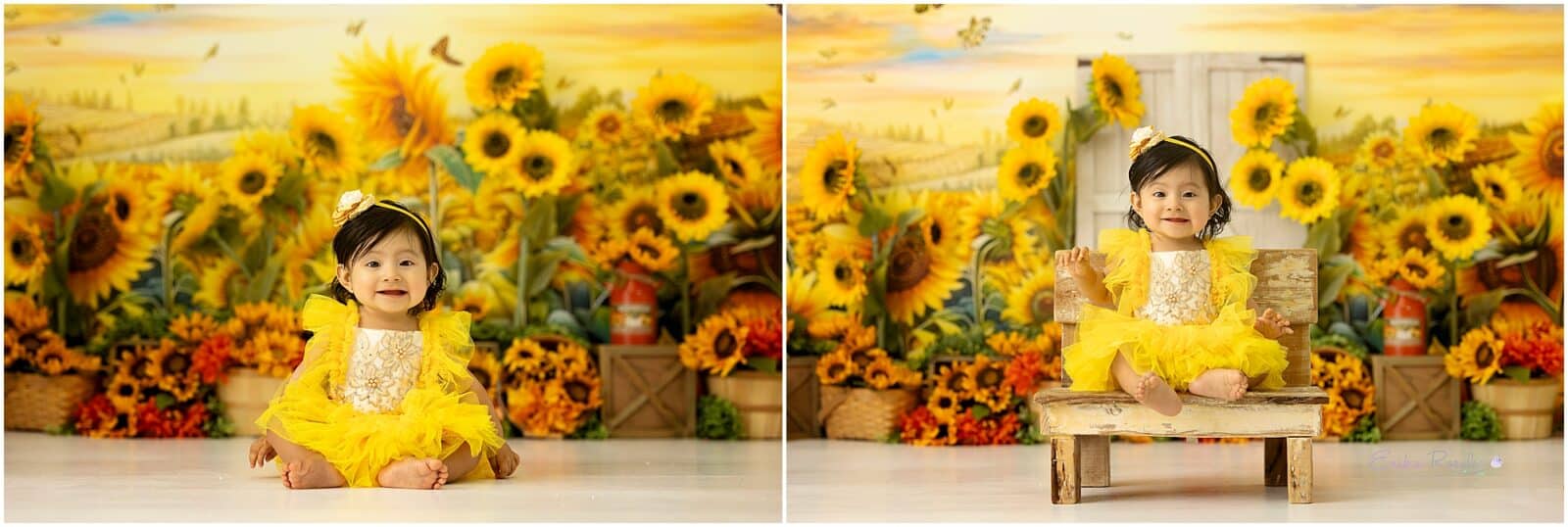 Erika Rosales New York Photo Studio | Family Portrait Studio in Bronx NY