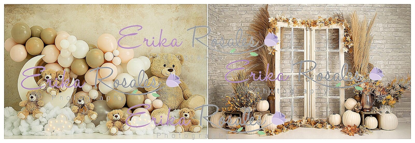 Erika Rosales Houston | Newborn-Smash Cake Maternity Photographer