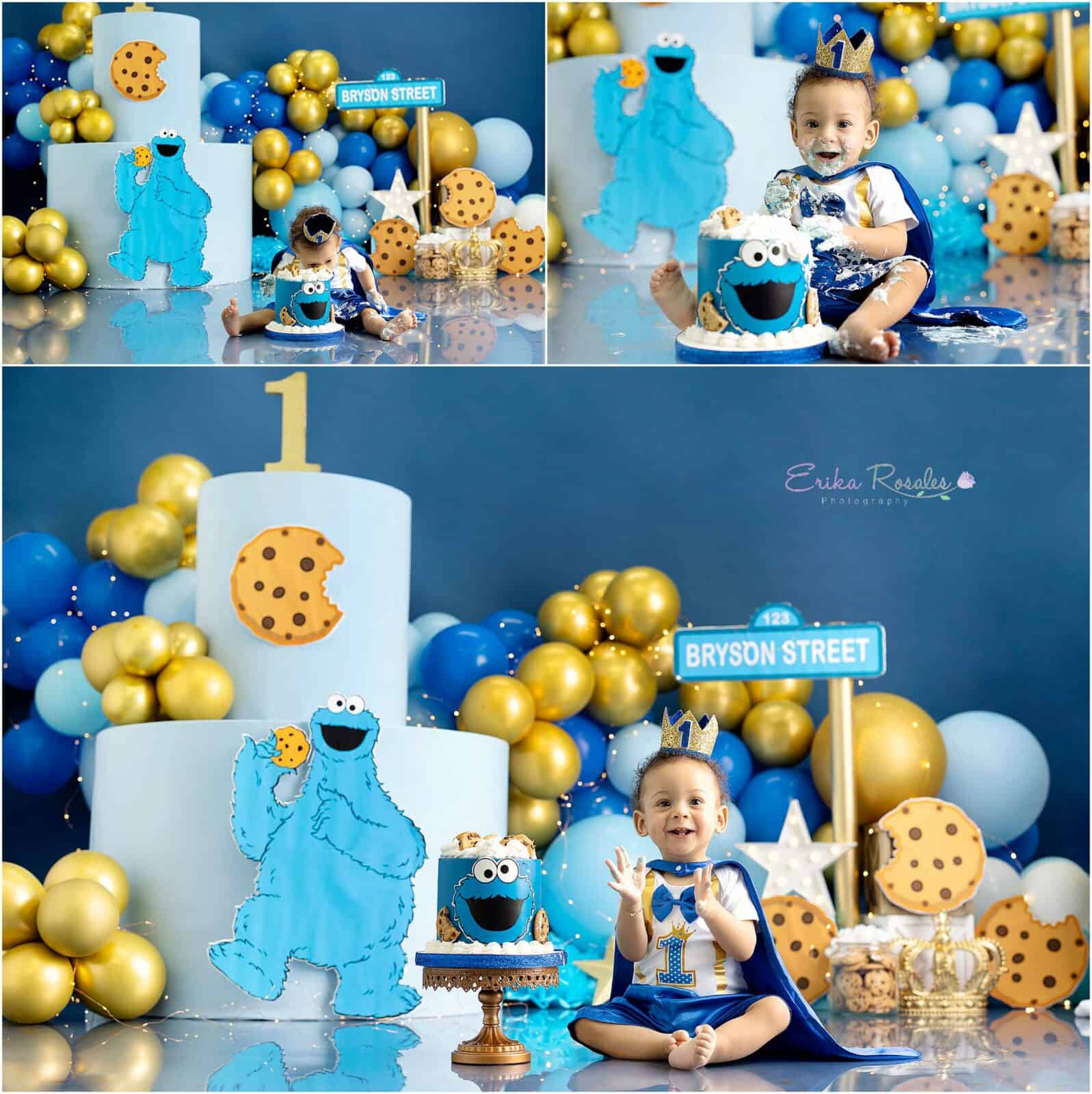 Erika Rosales Houston | Newborn-Smash Cake Maternity Photographer