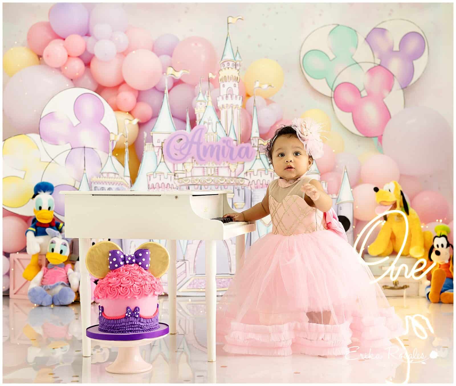 Erika Rosales Houston | Newborn-Smash Cake Maternity Photographer