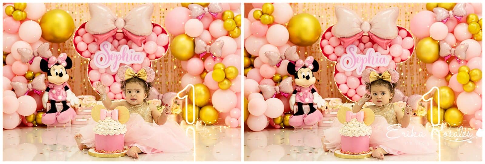 Erika Rosales Houston | Newborn-Smash Cake Maternity Photographer