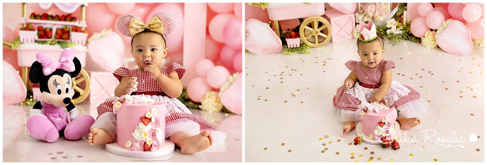 Erika Rosales Houston | Newborn-Smash Cake Maternity Photographer
