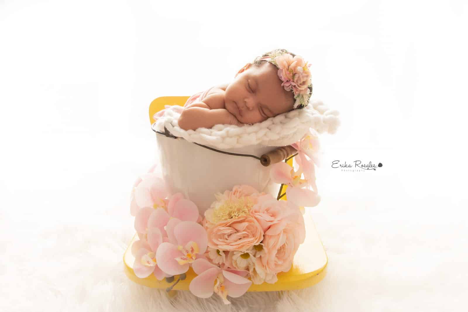 Erika Rosales New York Photo Studio | Family Portrait Studio in Bronx NY