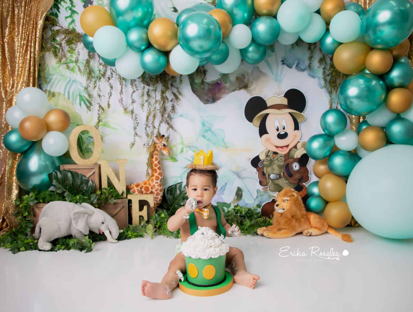 Erika Rosales Houston | Newborn-Smash Cake Maternity Photographer